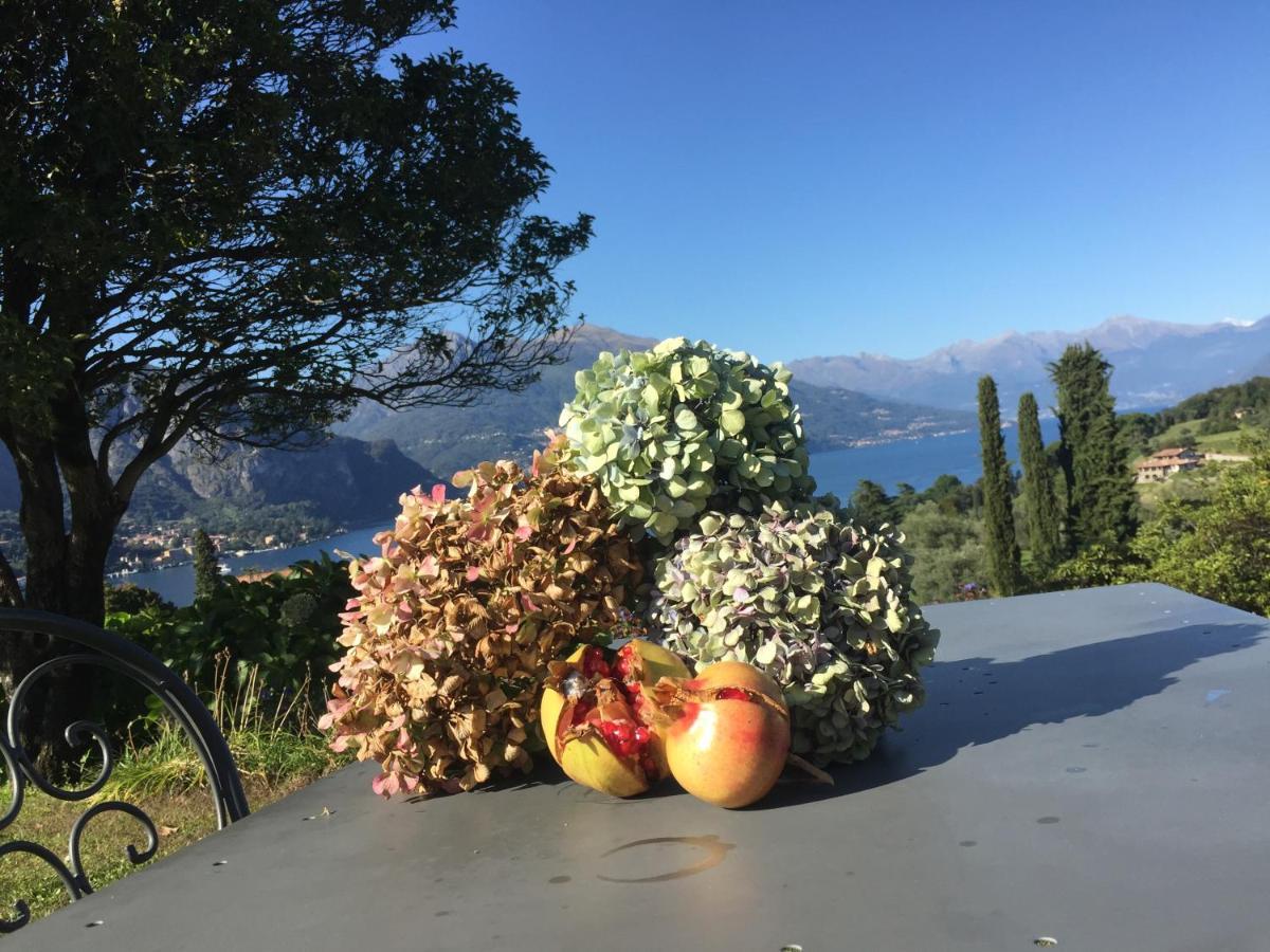 Aparthotel Il Poggio Di Bellagio Exterior foto